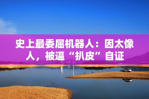 史上最委屈机器人：因太像人，被逼“扒皮”自证