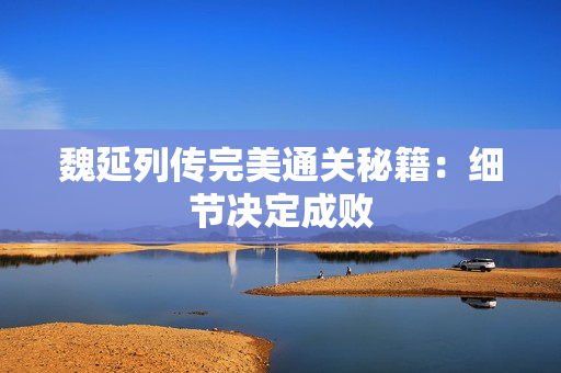 魏延列传完美通关秘籍：细节决定成败