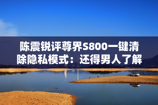 陈震锐评尊界S800一键清除隐私模式：还得男人了解男人
