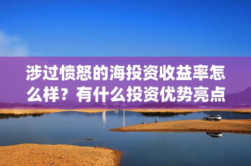涉过愤怒的海投资收益率怎么样？有什么投资优势亮点？(涉过愤怒的海简介)