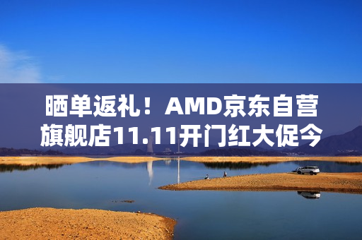 晒单返礼！AMD京东自营旗舰店11.11开门红大促今晚开启