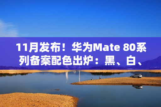 11月发布！华为Mate 80系列备案配色出炉：黑、白、紫、金、银全都有