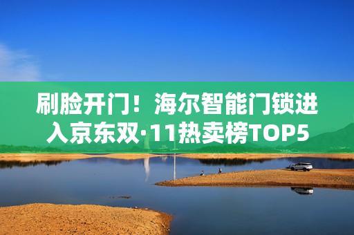 刷脸开门！海尔智能门锁进入京东双·11热卖榜TOP5