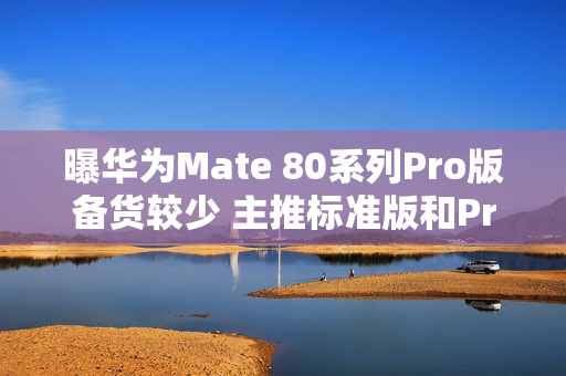 曝华为Mate 80系列Pro版备货较少 主推标准版和Pro+