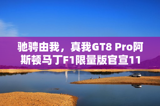 驰骋由我，真我GT8 Pro阿斯顿马丁F1限量版官宣11月10日开售