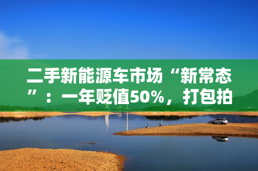 二手新能源车市场“新常态”：一年贬值50%，打包拍卖成主流