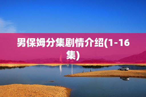 男保姆分集剧情介绍(1-16集) 男保姆分集剧情介绍(1-16集)