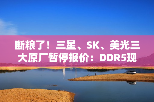 断粮了！三星、SK、美光三大原厂暂停报价：DDR5现货价一周暴涨25%