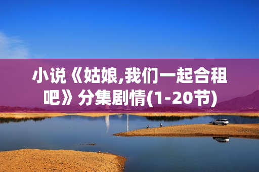 小说《姑娘,我们一起合租吧》分集剧情(1-20节)