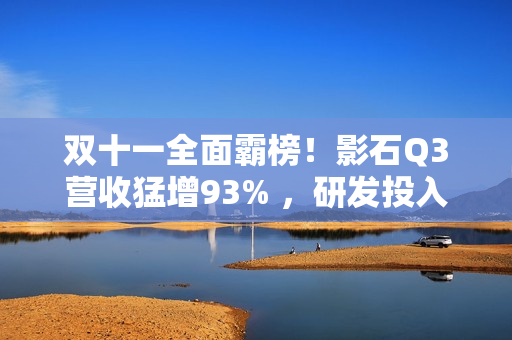 双十一全面霸榜！影石Q3营收猛增93% ，研发投入翻倍加码定制芯片