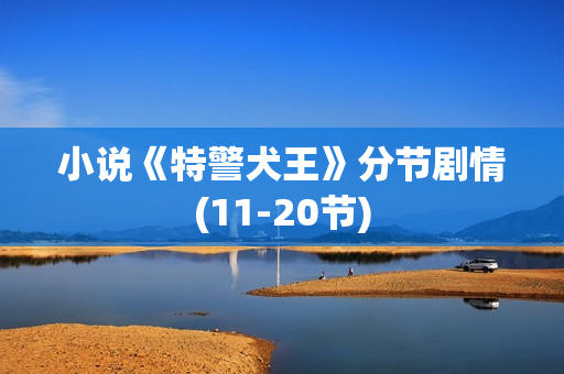 小说《特警犬王》分节剧情(11-20节)