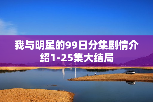 我与明星的99日分集剧情介绍1-25集大结局