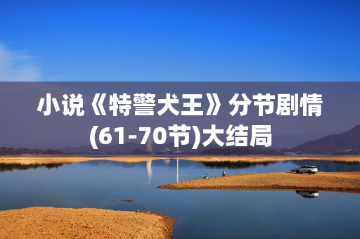 小说《特警犬王》分节剧情(61-70节)大结局