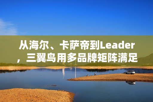 从海尔、卡萨帝到Leader，三翼鸟用多品牌矩阵满足中国家庭需求