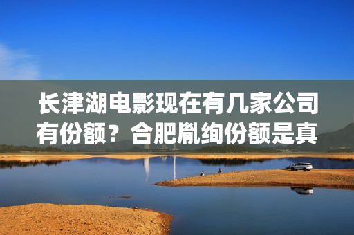 长津湖电影现在有几家公司有份额？合肥胤绚份额是真是的吗？(长津湖电影首映)