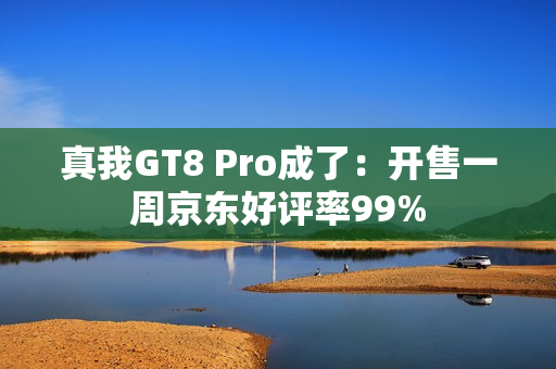真我GT8 Pro成了：开售一周京东好评率99%