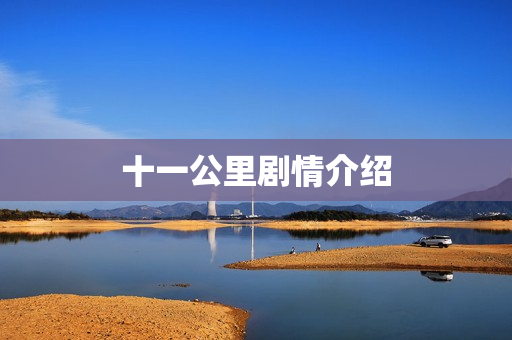 十一公里剧情介绍