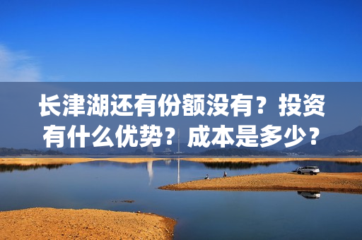 长津湖还有份额没有？投资有什么优势？成本是多少？(长津湖还有后续吗)