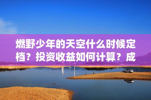 燃野少年的天空什么时候定档？投资收益如何计算？成本是多少？(燃野少年的天空主题曲)