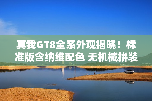 真我GT8全系外观揭晓！标准版含纳维配色 无机械拼装
