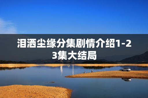 泪洒尘缘分集剧情介绍1-23集大结局