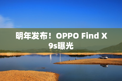 明年发布！OPPO Find X9s曝光