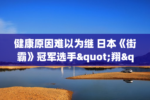 健康原因难以为继 日本《街霸》冠军选手"翔"宣布退役
