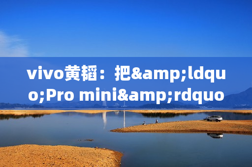 vivo黄韬：把&ldquo;Pro mini&rdquo;命名X300现在看有些吃亏