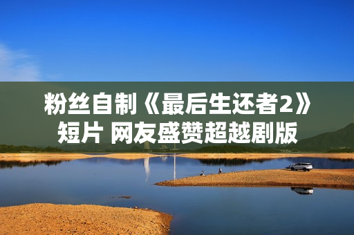 粉丝自制《最后生还者2》短片 网友盛赞超越剧版