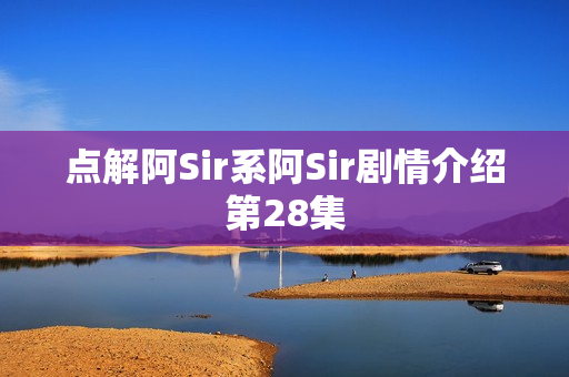 点解阿Sir系阿Sir剧情介绍第28集