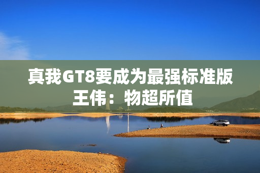 真我GT8要成为最强标准版 王伟：物超所值