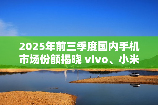 2025年前三季度国内手机市场份额揭晓 vivo、小米前二