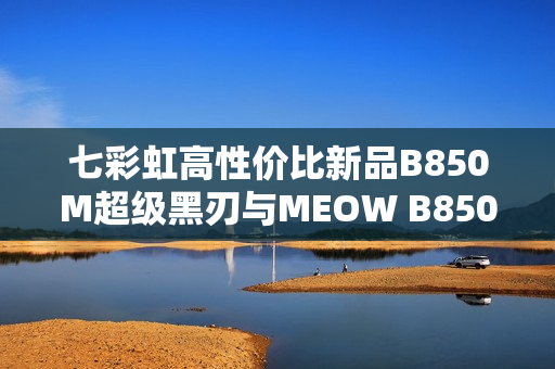 七彩虹高性价比新品B850M超级黑刃与MEOW B850M开售