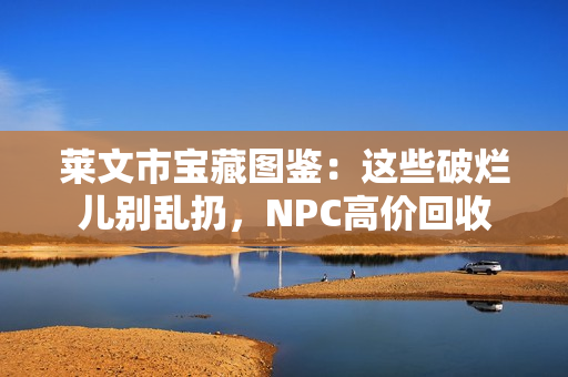 莱文市宝藏图鉴：这些破烂儿别乱扔，NPC高价回收