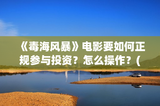 《毒海风暴》电影要如何正规参与投资？怎么操作？(毒海风暴有哪几个公司参与)