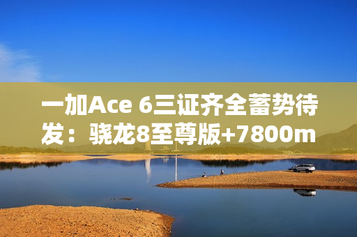 一加Ace 6三证齐全蓄势待发：骁龙8至尊版+7800mAh史上最大电池