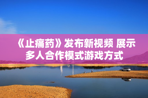 《止痛药》发布新视频 展示多人合作模式游戏方式 《止痛药》发布新视频 展示多人合作模式游戏方式