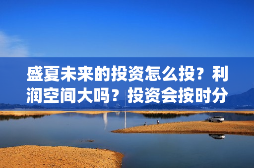 盛夏未来的投资怎么投？利润空间大吗？投资会按时分红吗？(盛夏未来投资成本多少)