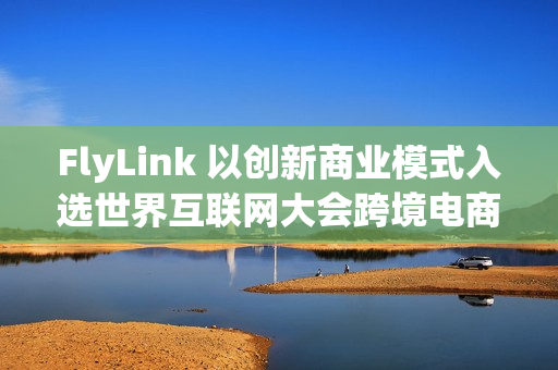 FlyLink 以创新商业模式入选世界互联网大会跨境电商实践案例集