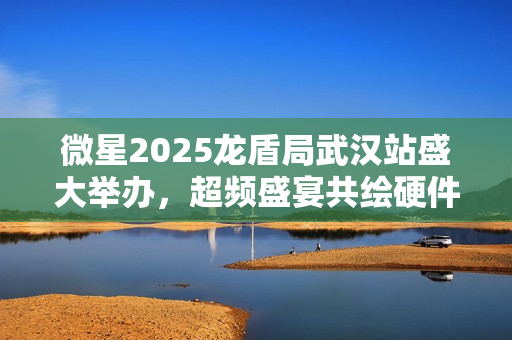 微星2025龙盾局武汉站盛大举办，超频盛宴共绘硬件江湖