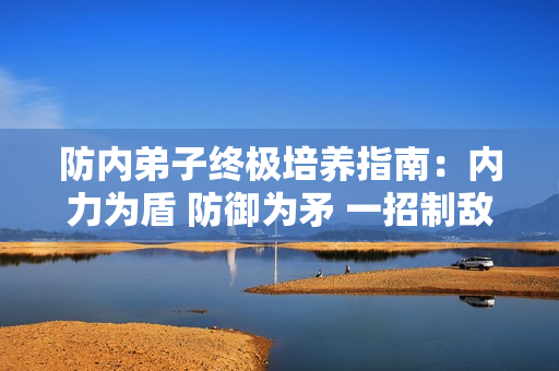 防内弟子终极培养指南：内力为盾 防御为矛 一招制敌
