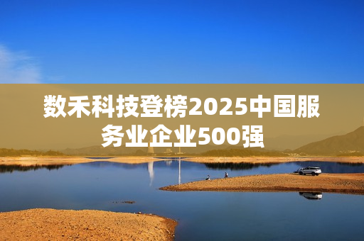 数禾科技登榜2025中国服务业企业500强