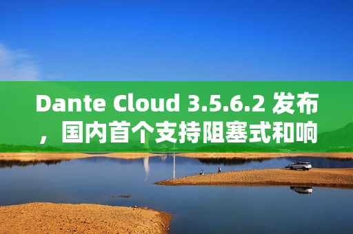 Dante Cloud 3.5.6.2 发布，国内首个支持阻塞式和响应式融合的微服务