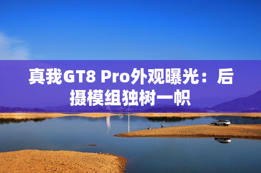 真我GT8 Pro外观曝光：后摄模组独树一帜