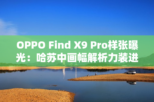 OPPO Find X9 Pro样张曝光：哈苏中画幅解析力装进手机