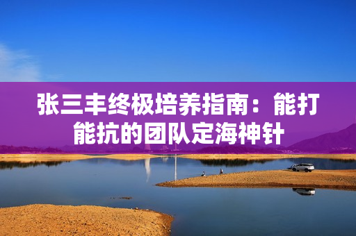 张三丰终极培养指南：能打能抗的团队定海神针