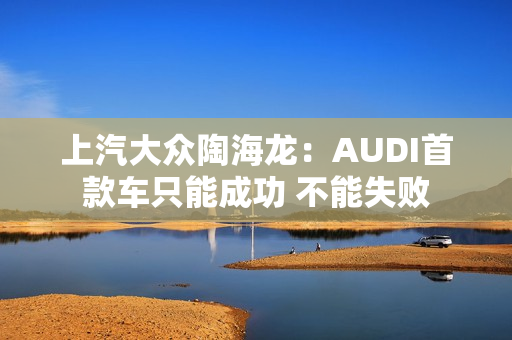 上汽大众陶海龙：AUDI首款车只能成功 不能失败