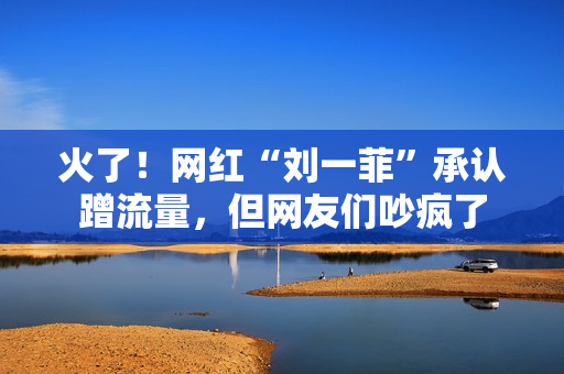 火了！网红“刘一菲”承认蹭流量，但网友们吵疯了