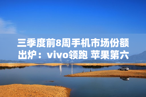 三季度前8周手机市场份额出炉：vivo领跑 苹果第六