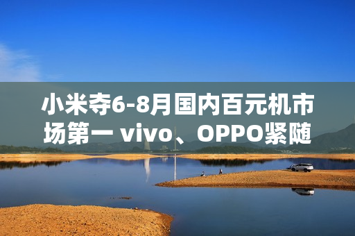 小米夺6-8月国内百元机市场第一 vivo、OPPO紧随其后